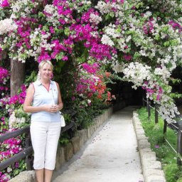 ����� ��������, �����, 67 ���