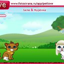 ���� ������, ����, 26 ��� - ��������� 20 �������� 2010 � ������ �PetLove�