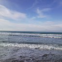 ���� ˸��, ����� - ��������� 2 ������ 2010 � ������ �������