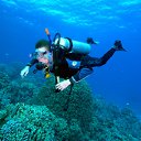 ���� ������, ������ - ��������� 18 ������ 2011 � ������ ���� ����������