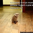 ���� ����, ����������� - ��������� 9 ������� 2010 � ������ ������� ���� �������)�