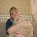  , -, 60  -  29  2011    