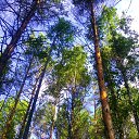 ���� Nik, ����, 36 ��� - ��������� 29 ������ 2012 � ������ ���� ����������