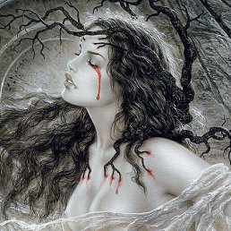 �������, ��������, 41 ���