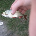 ���� Sapenda, ������, 68 ��� - ��������� 17 ������� 2010 � ������ �� �������.2010�