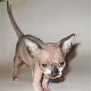 ���� ������, �����-���������, 47 ��� - ��������� 16 ������ 2011 � ������ ������� 2011�