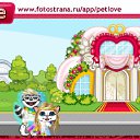  , , 20  -  10  2011   PetLove