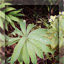 ���� ����, �������, 29 ��� - ��������� 29 ���� 2012 � ������ �������