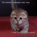 ���� ���, �����, 42 ���� - ��������� 12 ������� 2011 � ������ ���� ������������