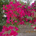 ���� ����, �����, 60 ��� - ��������� 9 ���� 2012 � ������ ��Ψ ����������� � ������ܻ