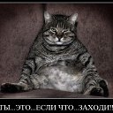 ���� ���������, ������-��-����, 25 ��� - ��������� 29 ������ 2013 � ������ ���� ����������