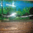 ���� ����, ��������, 47 ��� - ��������� 7 ������ 2011 � ������ ���� ����������