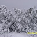 ���� A�����, �����, 65 ��� - ��������� 17 ������ 2012