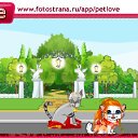 ���� ����, �����������, 23 ���� - ��������� 12 ������ 2010 � ������ �PetLove�