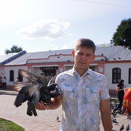 ����, ��������, 44 ����