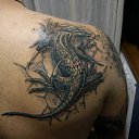���� �������, ��������, 44 ���� - ��������� 26 �������� 2012 � ������ �������
