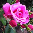 ���� ��������, ������ - ��������� 23 ������� 2010 � ������ �������