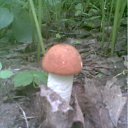 ���� Vlad, ������ - ��������� 25 ���� 2011 � ������ ��������