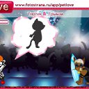 ���� ������, ������, 25 ��� - ��������� 26 ������� 2011 � ������ �PetLove�