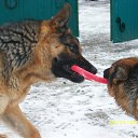  ,  -  13  2012      Ȼ