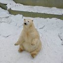 ���� �������, �������, 46 ��� - ��������� 16 ������� 2011