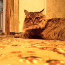 ���� ��������, ����� - ��������� 19 ������� 2010 � ������ �������