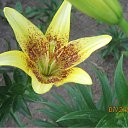 ���� Alenkij, ���������, 56 ��� - ��������� 12 ������� 2011 � ������ ���� ���