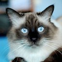  ,  -  3  2010    ,, ۻ