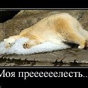 ���� ������, ������ - ��������� 28 ���� 2011 � ������ �������