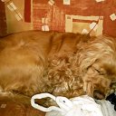  Marina *****,  -  7  2012    