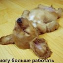 ���� ����� 1234, ��������, 57 ��� - ��������� 11 ��� 2013 � ������ ���� ����������