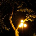 ���� ����� (�������!), �������� - ��������� 27 ������� 2010 � ������ ��������