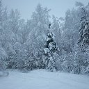 ���� ������, ������, 57 ��� - ��������� 3 ���� 2012