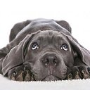 ���� ���� ��������, ����� - ��������� 1 ������� 2011 � ������ ���� ����������