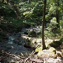   125rus, , 37  -  7  2013   