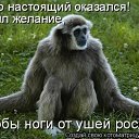 ���� ���������, ����������, 48 ��� - ��������� 3 ������� 2010 � ������ ���������