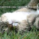 ���� ����, ����, 50 ��� - ��������� 18 ������ 2010