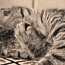 � ���������... �� ������� ���� ���� � ������ ��������