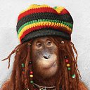 ���� �����, ������, 58 ��� - ��������� 15 ������� 2011 � ������ �������