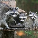 ���� �����-��, ����, 45 ��� - ��������� 20 ������ 2010 � ������ ���� ����� ��, ����� !�