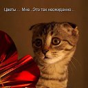 ���� �����, ������ ��������, 22 ���� - ��������� 23 ������� 2013
