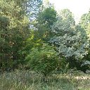 ���� �����, ������, 41 ��� - ��������� 30 ������ 2013 � ������ ����������