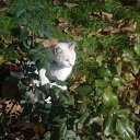 ���� ���������, �����, 51 ��� - ��������� 15 ������ 2010 � ������ ��������. ������ 2010�