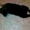 ����)��� ������ �� ������� ���� ����������