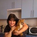 ���� ��������, ������, 47 ��� - ��������� 27 ���� 2013 � ������ ���� ����������