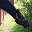 ���� ���, �������, 67 ��� - ��������� 16 ������� 2011 � ������ ��������))�