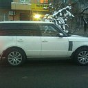 ���� ������, ������, 48 ��� - ��������� 8 ������� 2012 � ������ ���� ����������