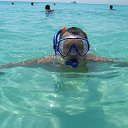 ���� �������, �����-���������, 43 ���� - ��������� 29 ���� 2013 � ������ ���