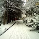 ���� ����, ����, 38 ��� - ��������� 24 ������� 2011 � ������ �����
