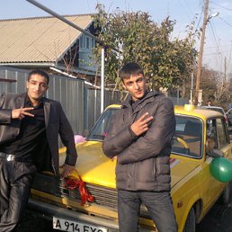 ���� �����, ������, 33 ���� - ��������� 14 ��� 2012